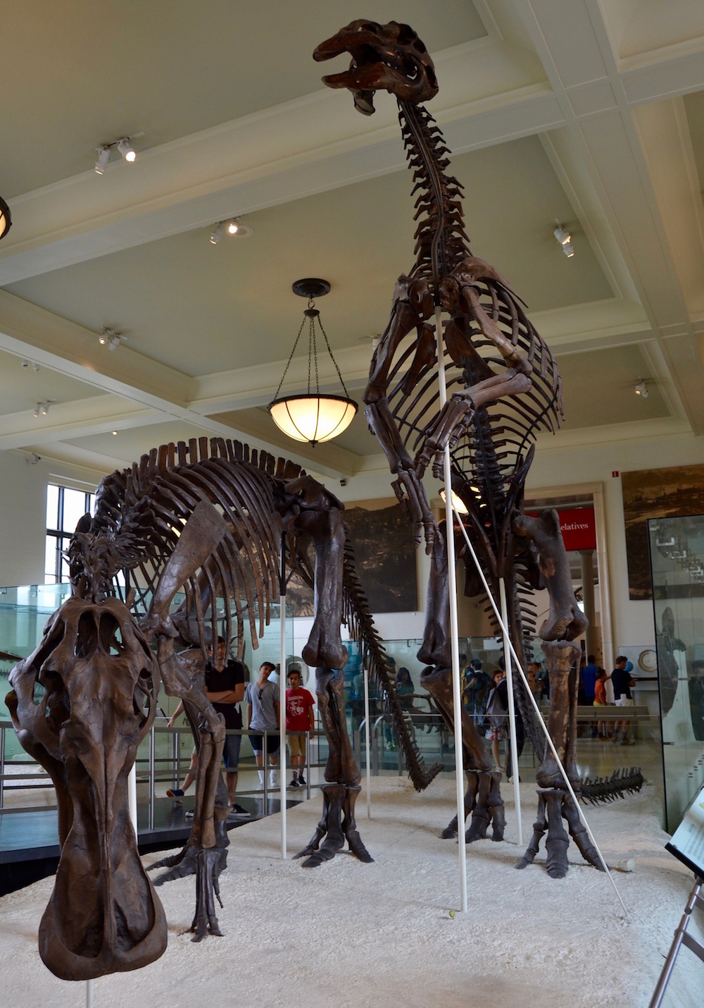 10 Indoor Activities In NYC Perfect For When It s Raining