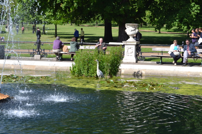 Relaxing in Hyde Park