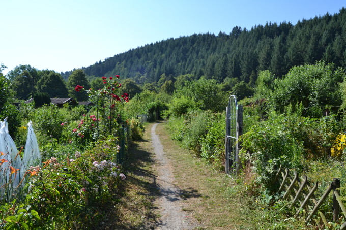 A Walk Through Freiburg