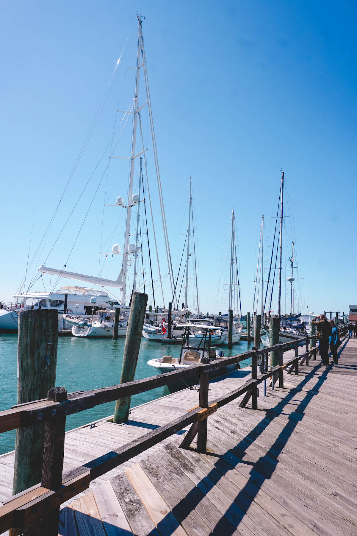 The marina in Beaufort, NC on a sunny day.