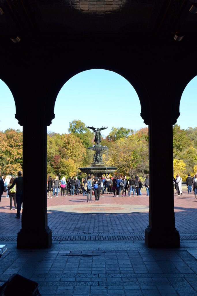 Photos of Central Park in Fall