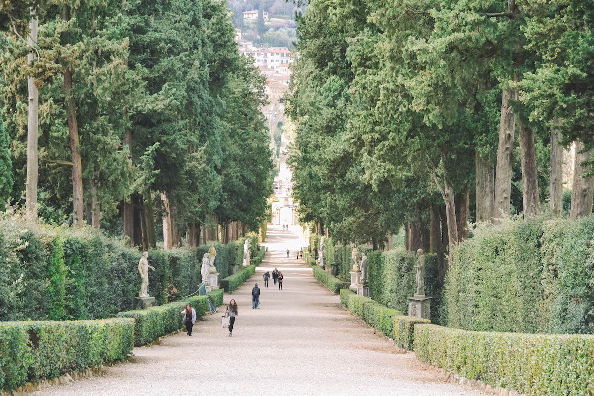 A long alley of trees in the Boboli Gardens in Florence