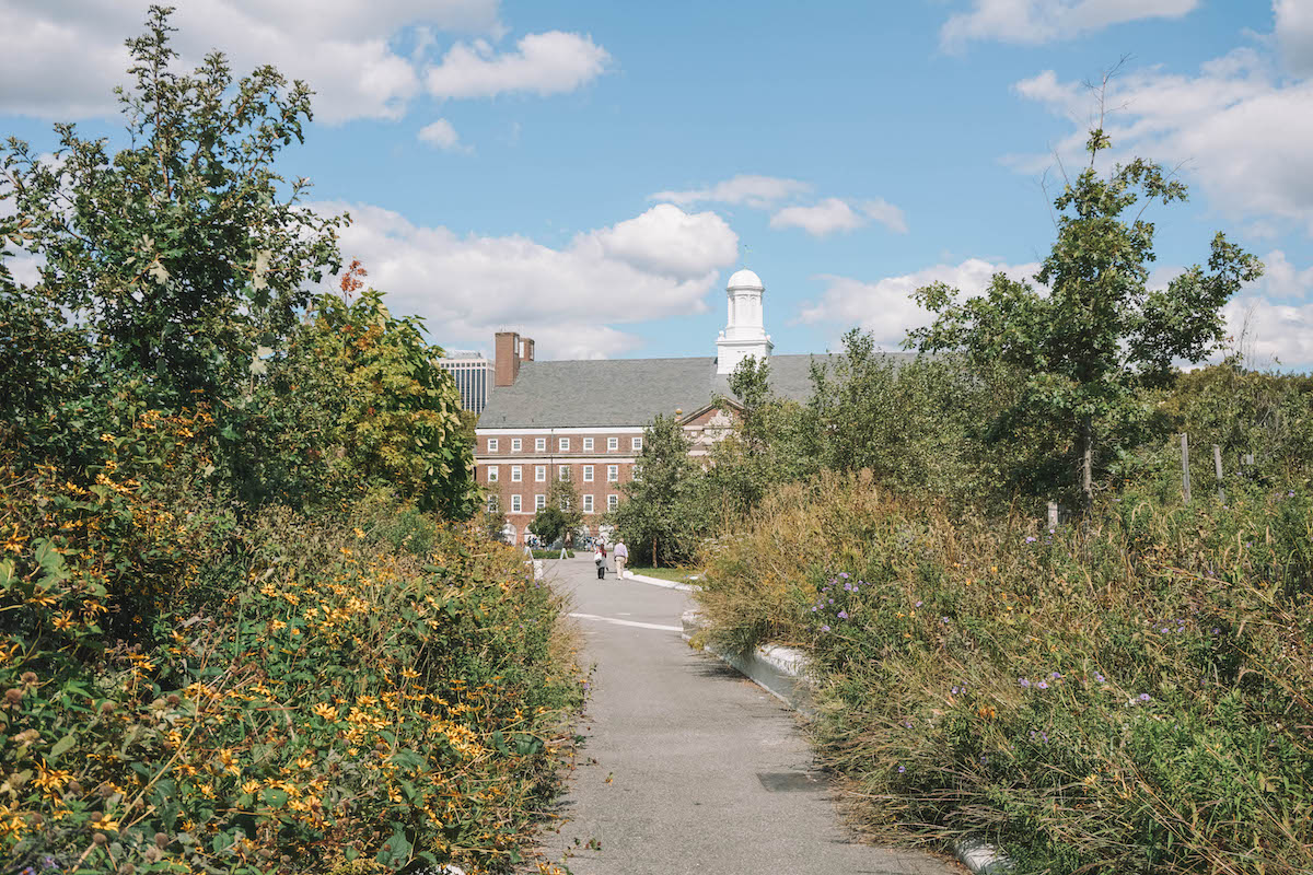 Pathway on Governors Island NYC