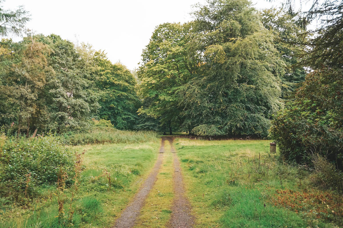 A forest path on the grounds of Hopetoun House in Scotland. 
