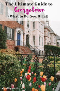 The BEST Things to Do in Georgetown, DC | Tall Girl Big World