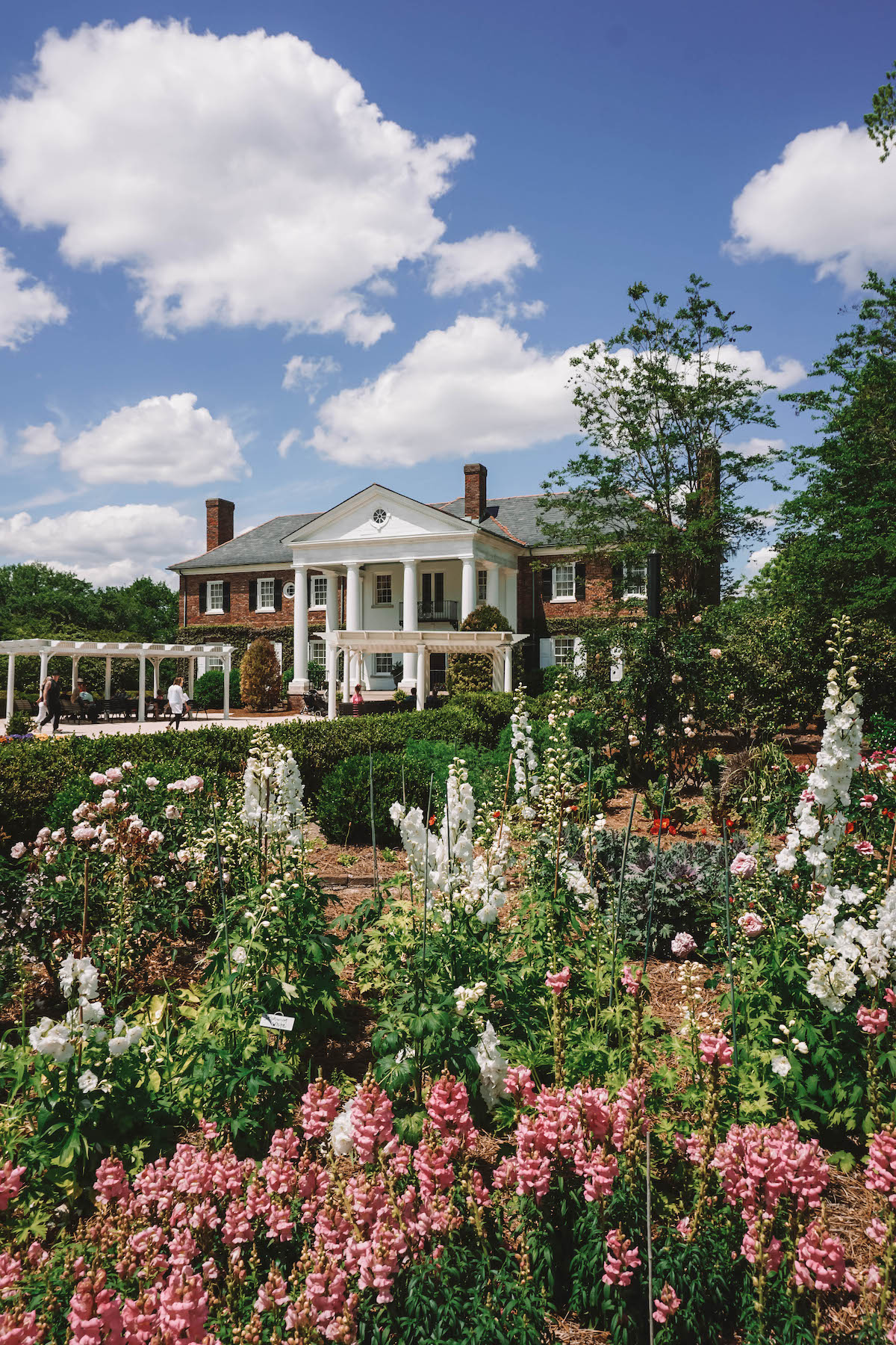 The gardens in front of Boone Hall Plantation in Charleston, SC.