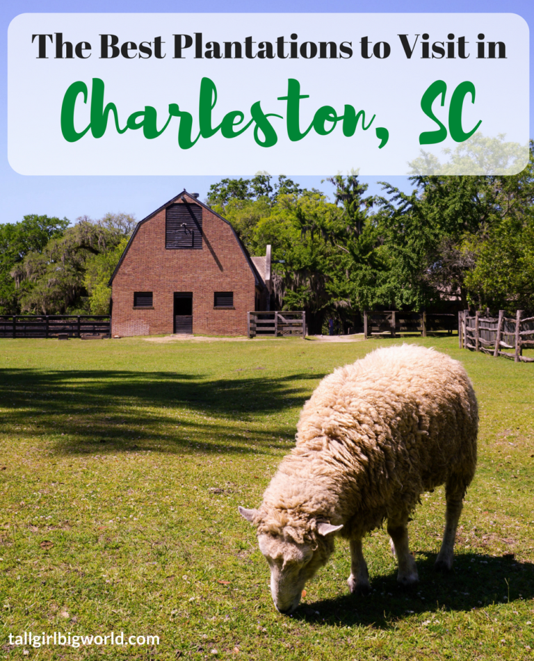 A Quick Guide To The Best Charleston Plantations