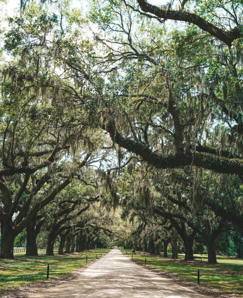 32 Charleston Photos That Will Make You Want to Visit ASAP