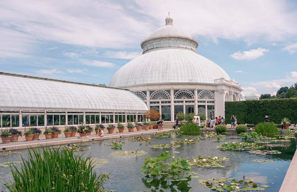 A greenhouse in the Brooklyn Botanic Garden. A lily pond is in the foreground. 