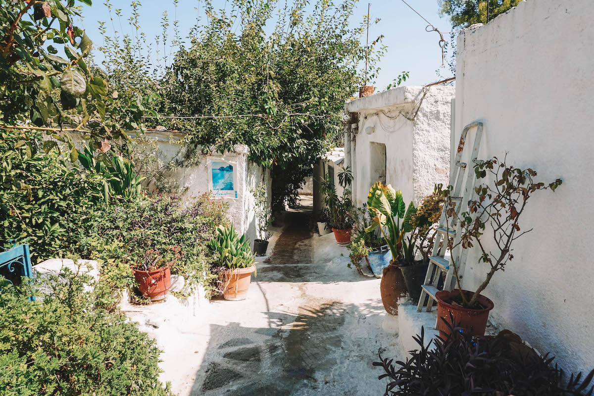 A path through Anafiotika in Athens, filled with greenery.