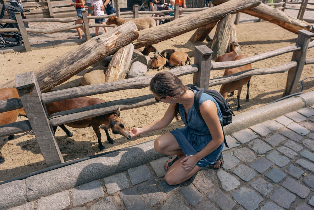 Petting zoo at the Berlin Zoo. 