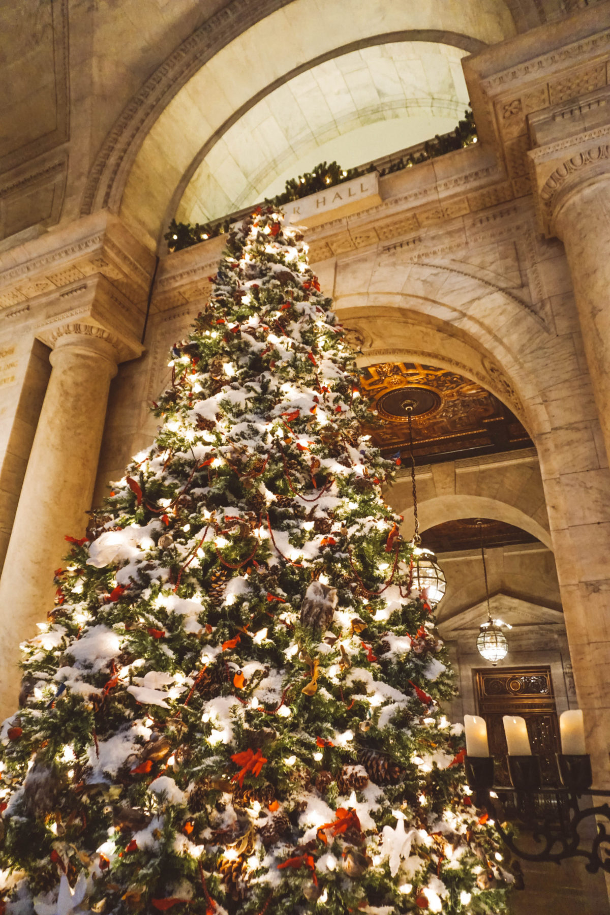 Lit Christmas Tree inside NYPL.
