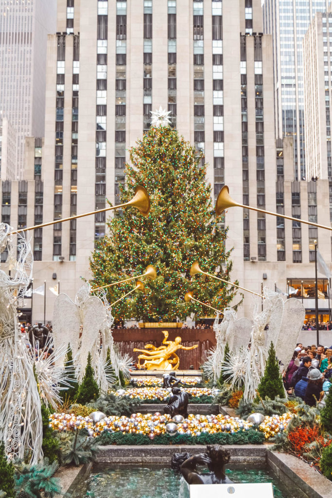 The 10+ Best NYC Christmas Trees You Have to See | Tall Girl Big World