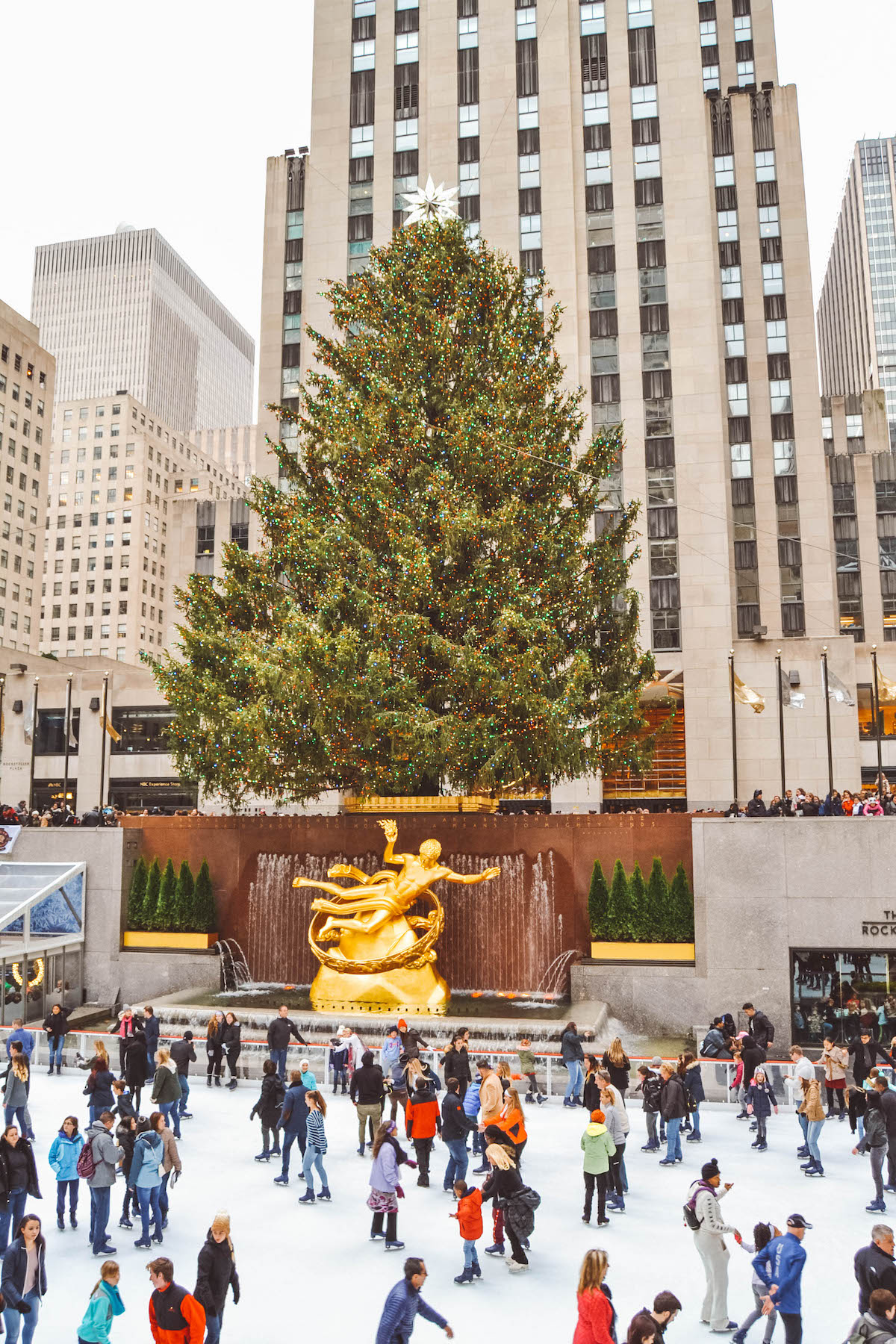 Large Christmas Tree at Rockefeller Center 