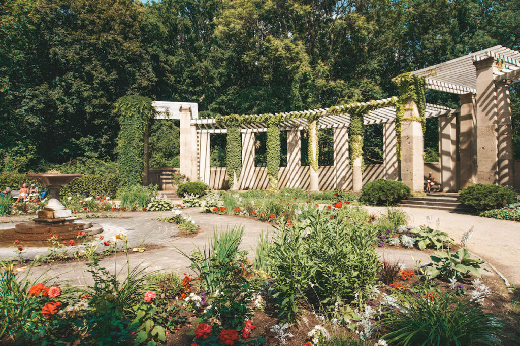 A rose garden within Tiergarten Park in Berlin.