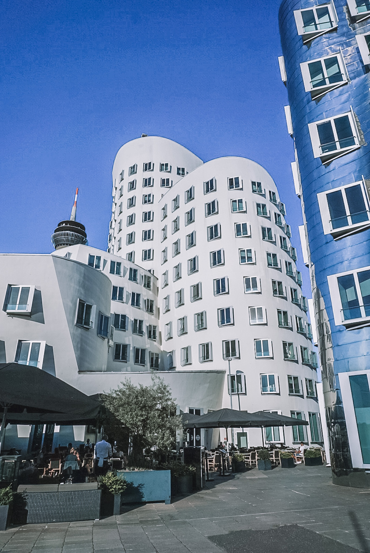 A white, wavy building in Düsseldorf's MedienHafen.