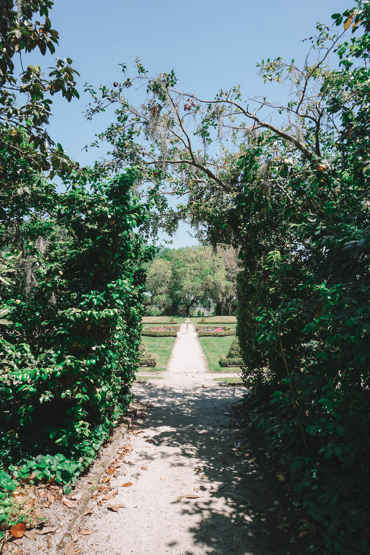 A view down a path at Middleton Place gardens. 