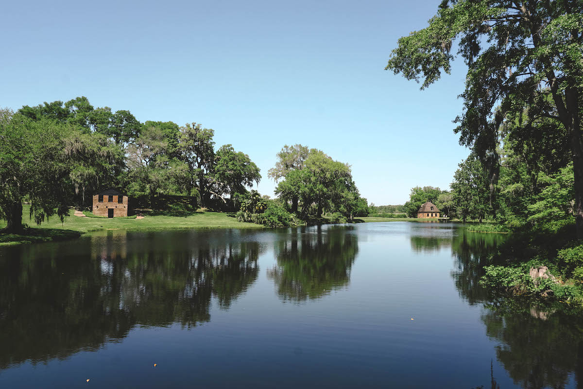 A view of the pond at Middleton Place. 