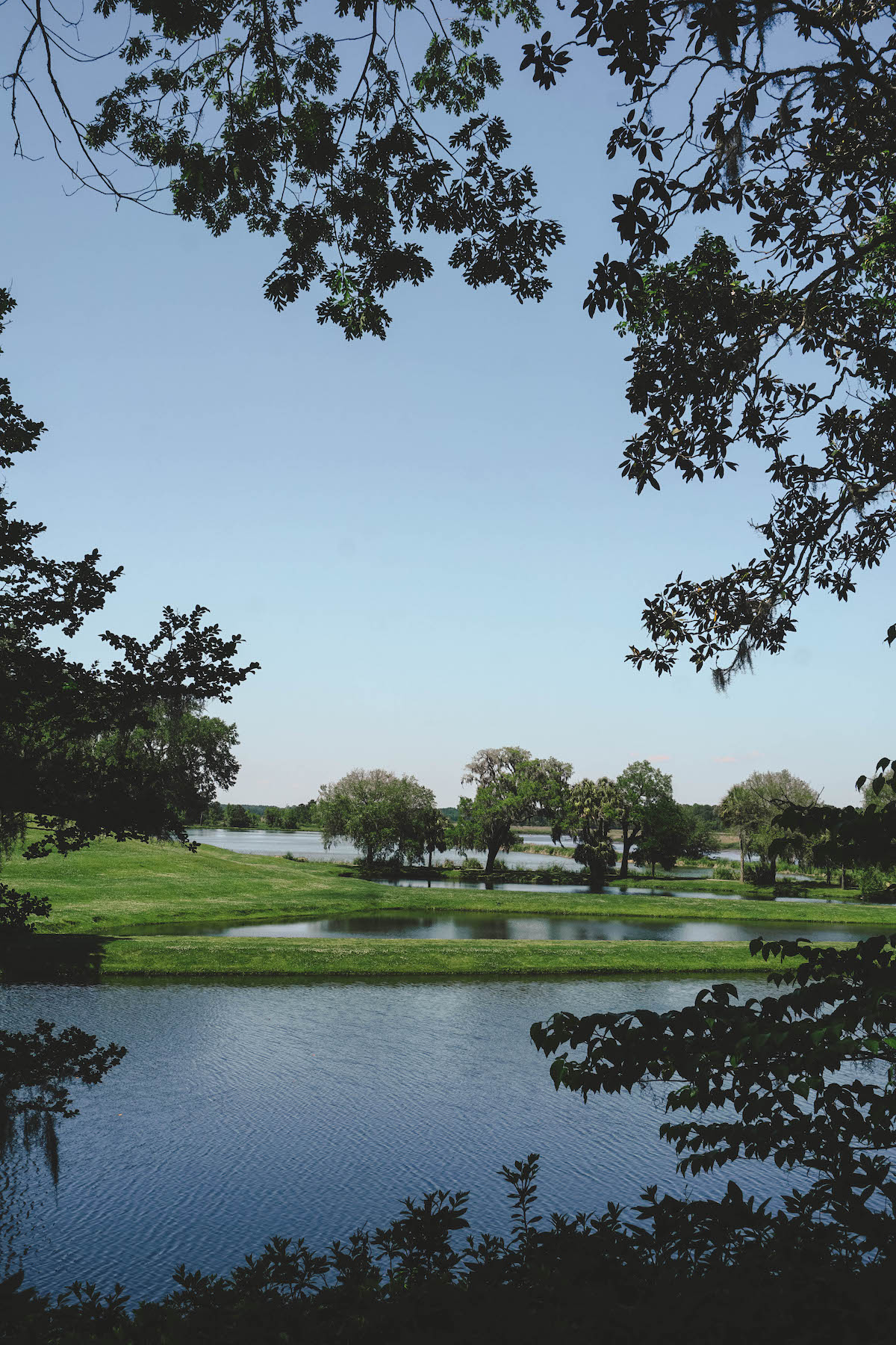 The back of the property at Middleton Place. 