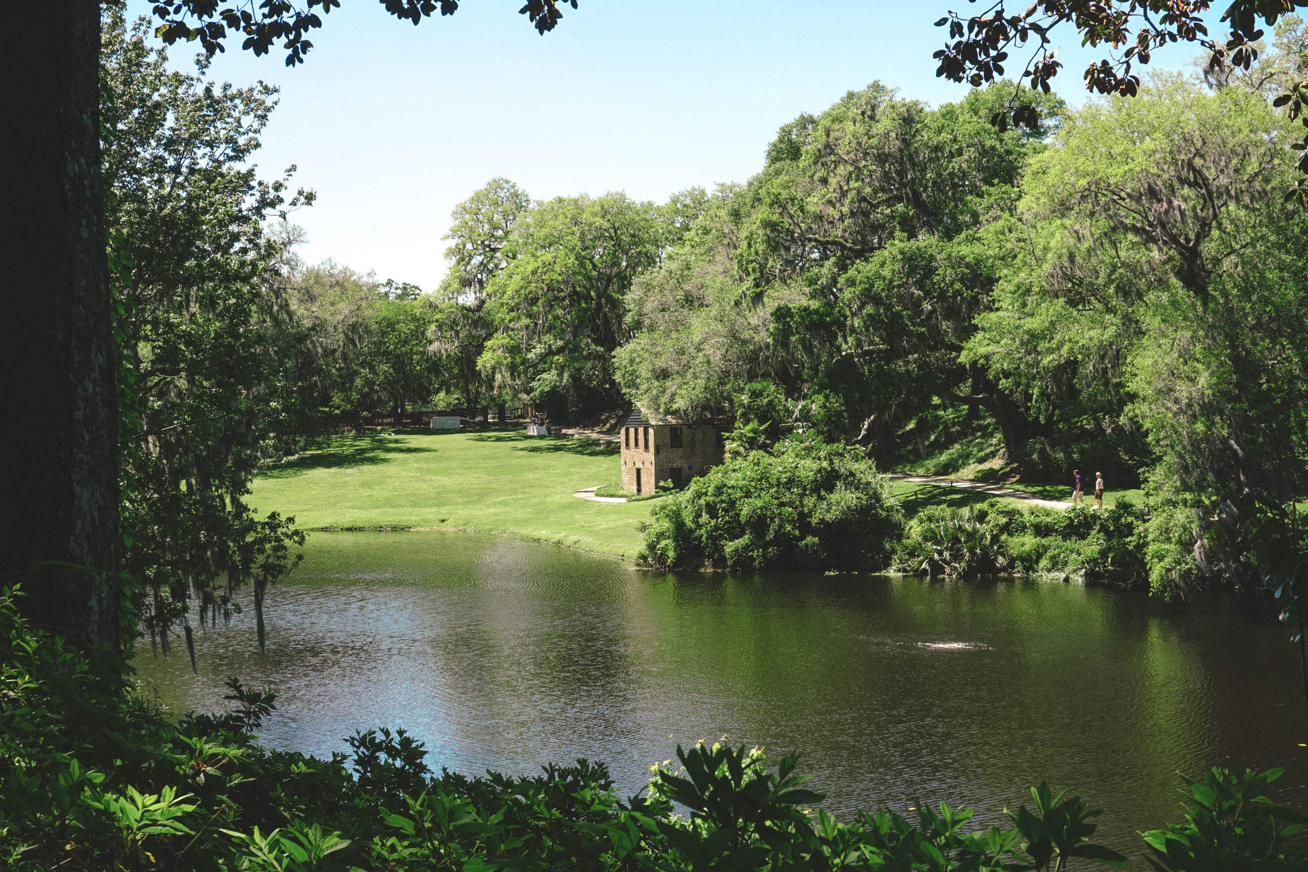 View of the pond and mill at Middleton Place plantation. 