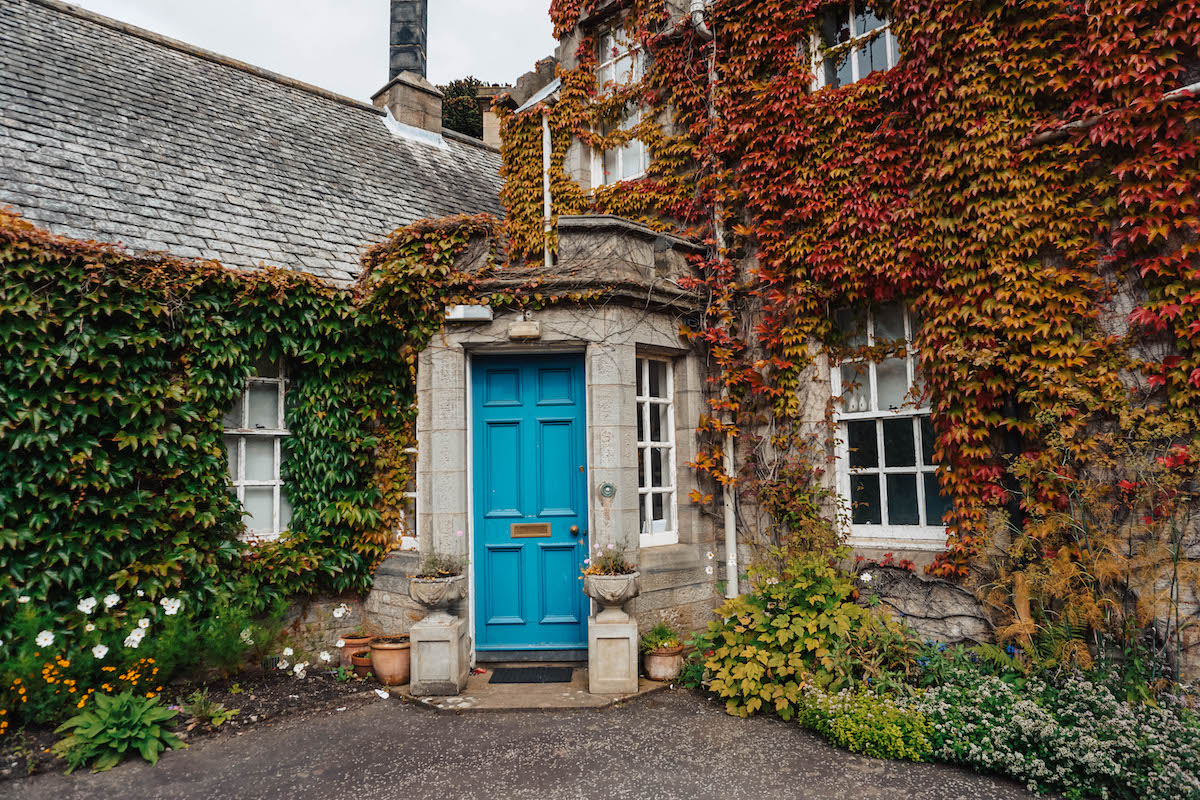 Blue door surrounded by orange and green foliage. 