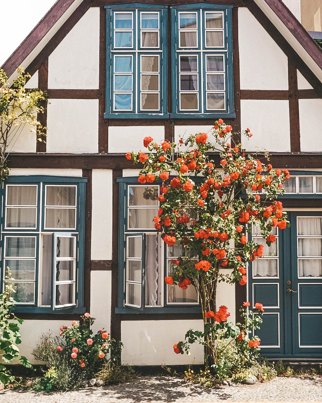 A half-timbered house covered with climbing roses.