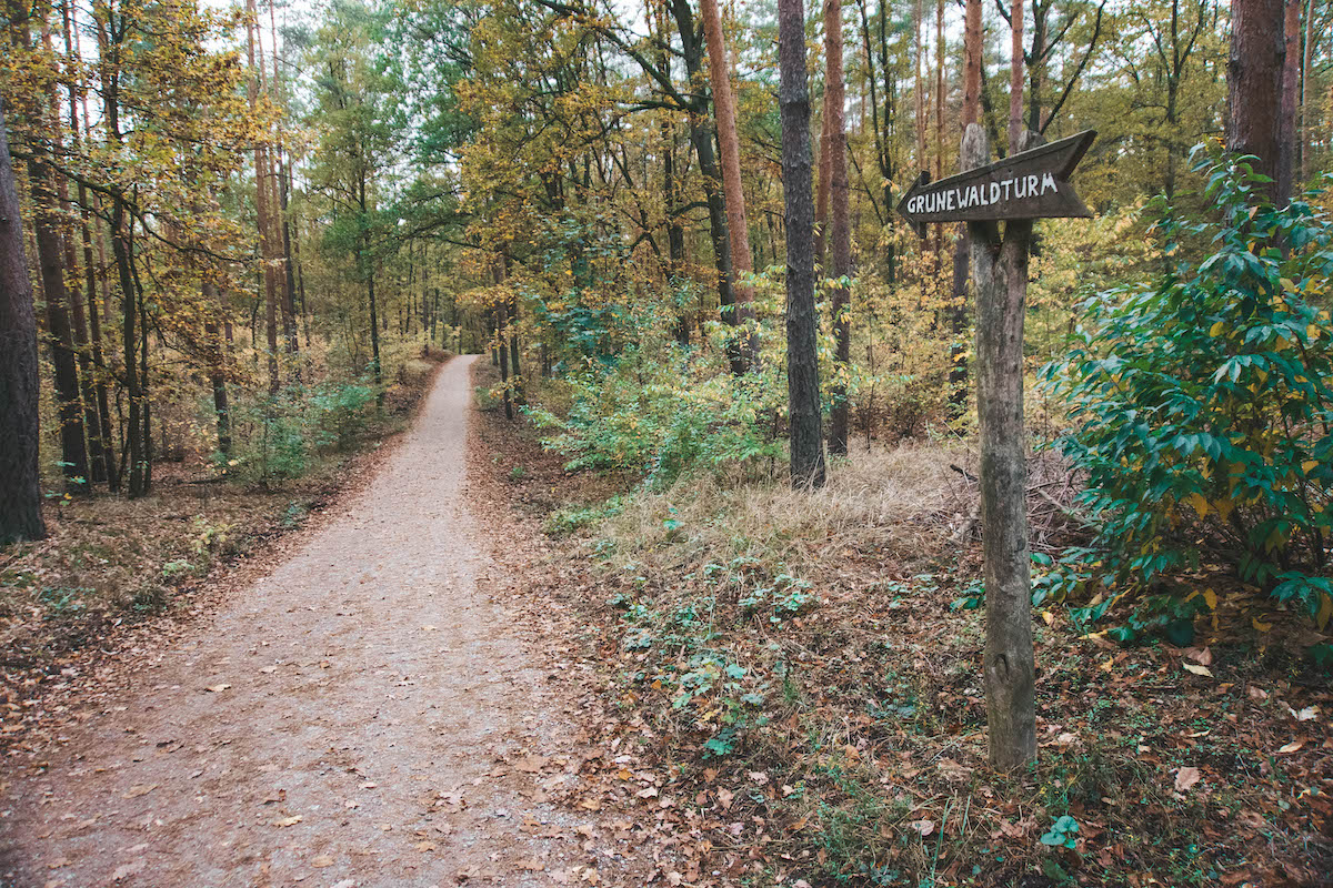 Path in the Grunewald forest. 