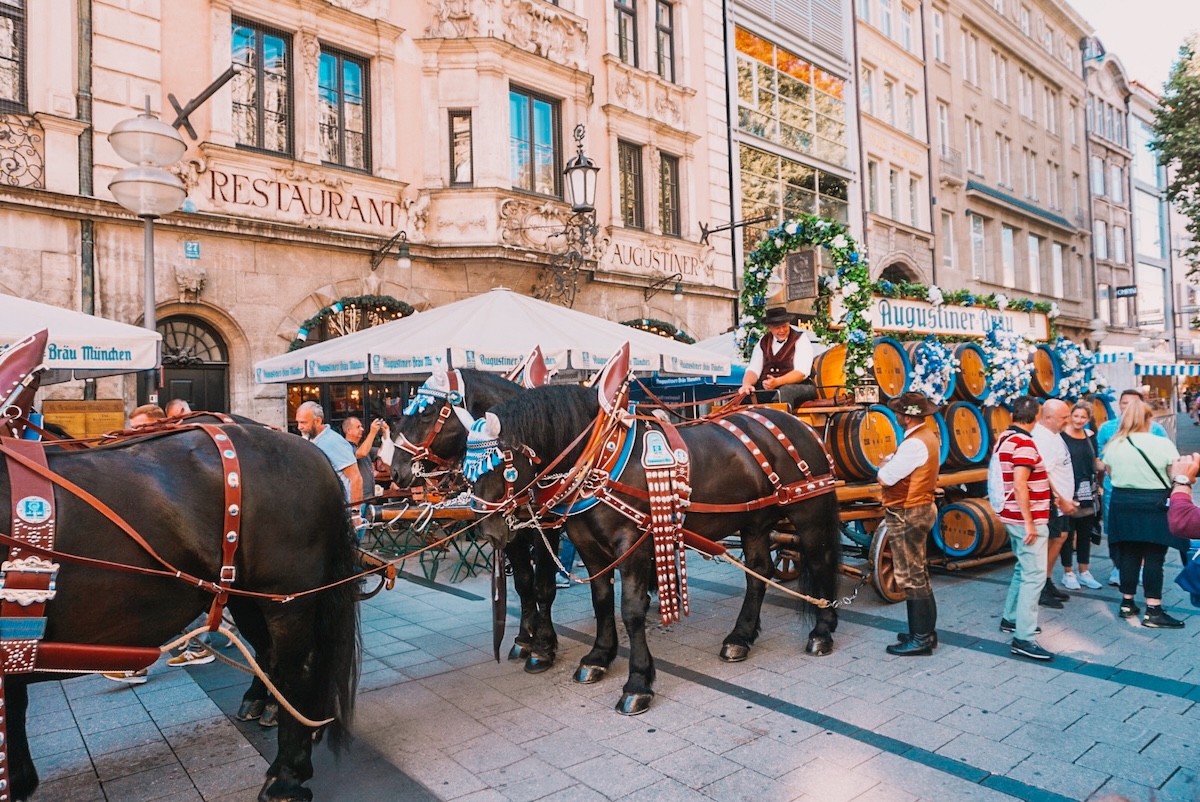 Oktoberfest horses pulling a wagon in Old Town Munich. 