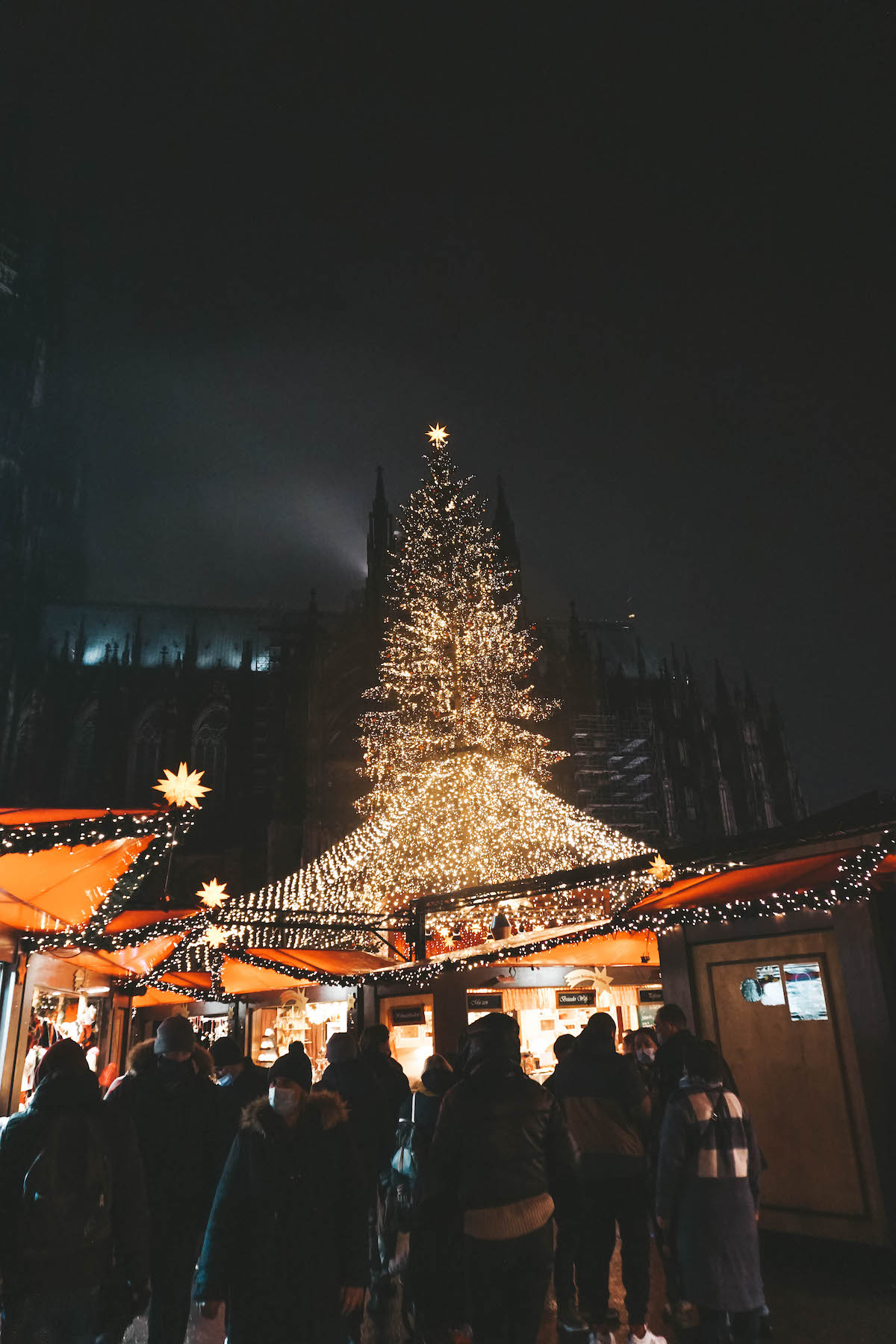Cologne Cathedral Christmas market by night