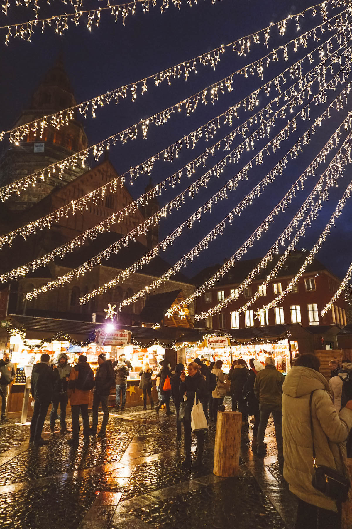 Mainz Christmas market lights at night