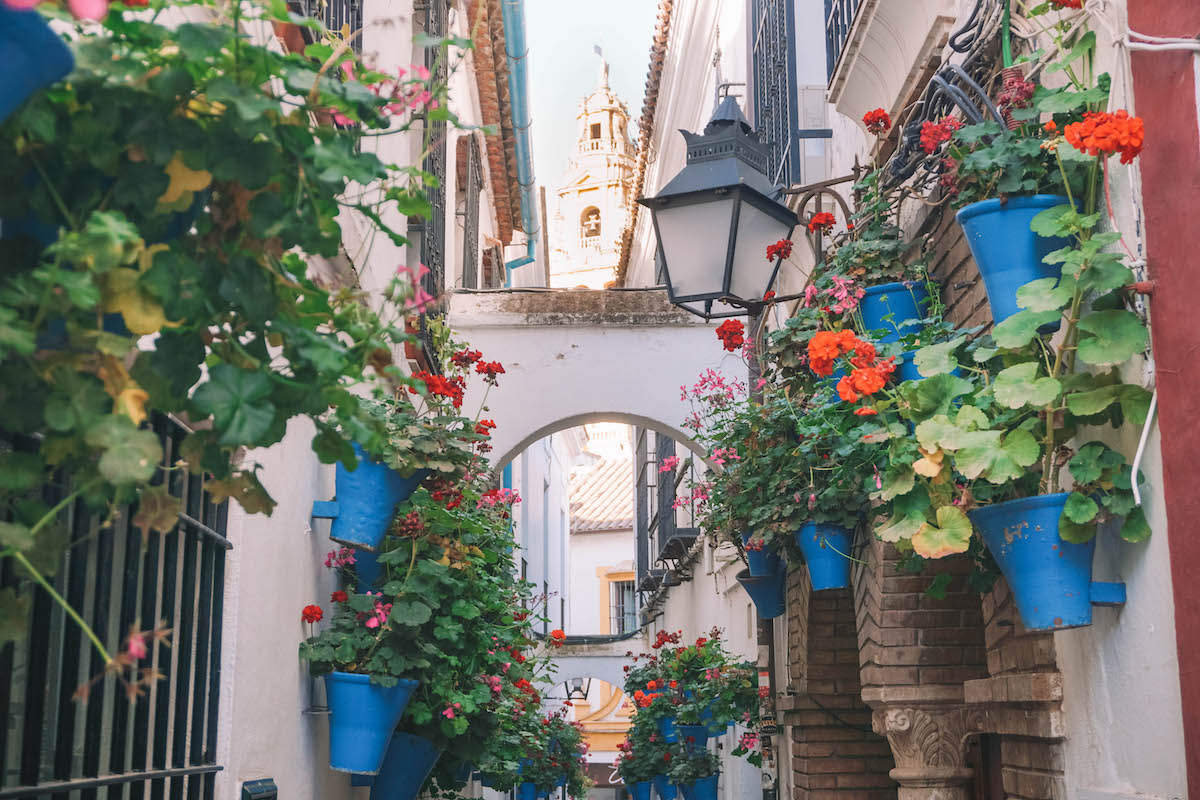A view down Flower Street in Cordoba, Spain. The cathedral bell tower looms in the background. 