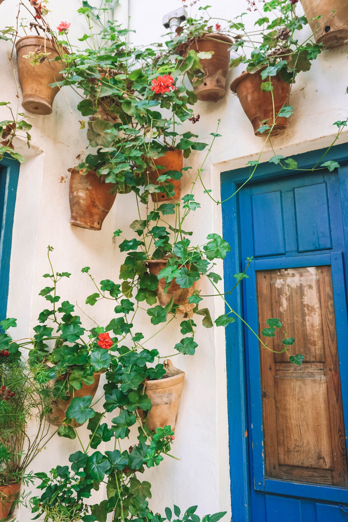 A blue wooden door surrounded by flower pots in the Patio de los Gatos in the Palacio de Viana Cordoba.