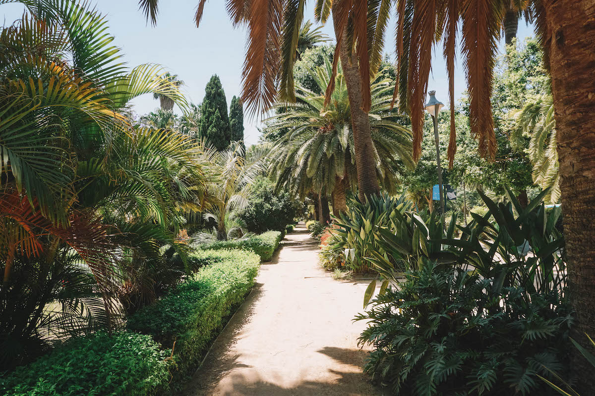 Path of Parque de Malaga