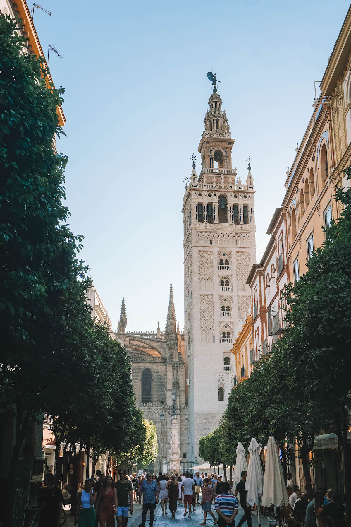 A tree-lined street in Seville leading to the Cathedral.