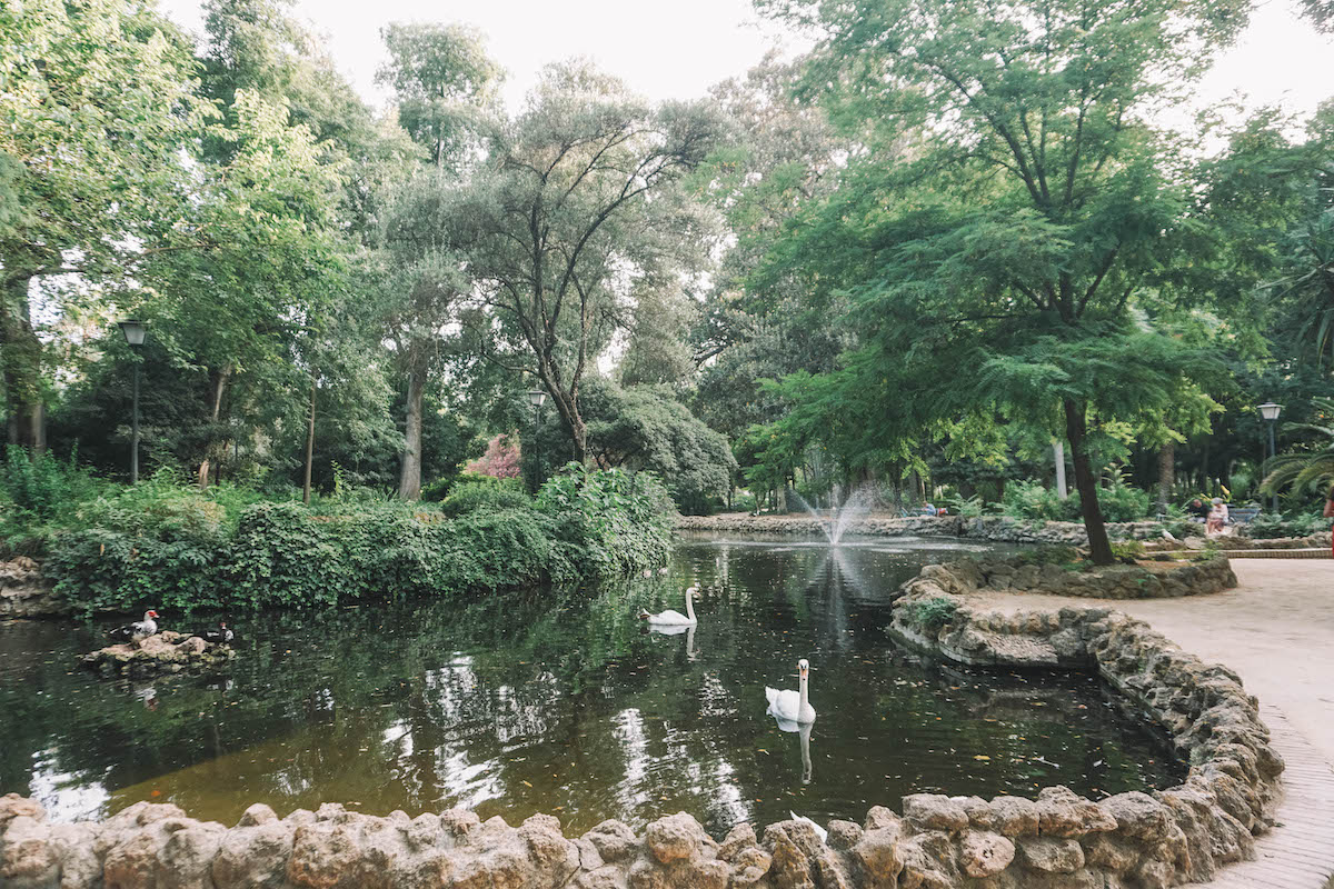 Duck pond in the Maria Luisa Park in Seville, Spain. 
