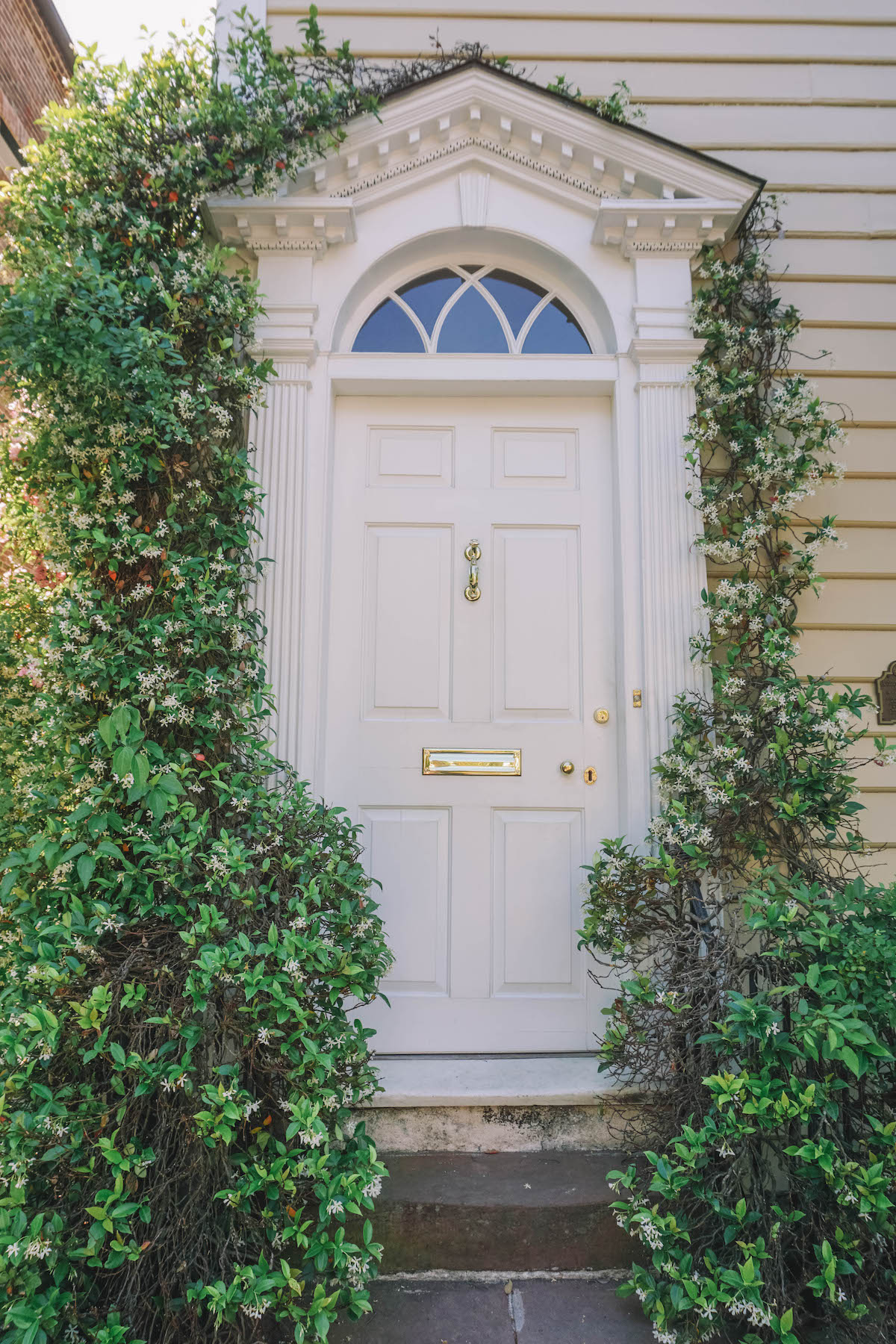 A front door surrounded by jasmine