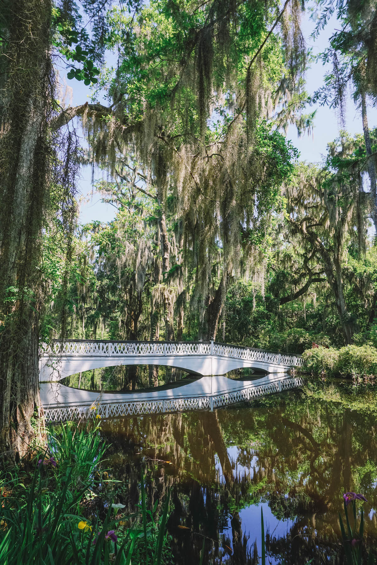A white bridge amongst the trees on the grounds of Magnolia Plantation
