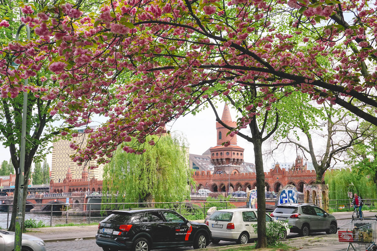 The Oberbaumbrueke in Berlin, seen through cherry blossom tree limbs