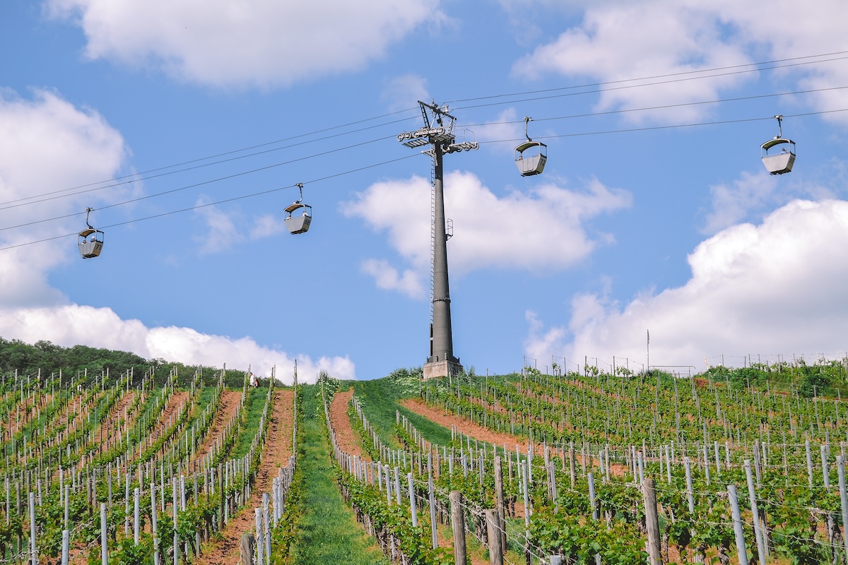 Cable car above the vineyards near Rüdesheim am Rhein