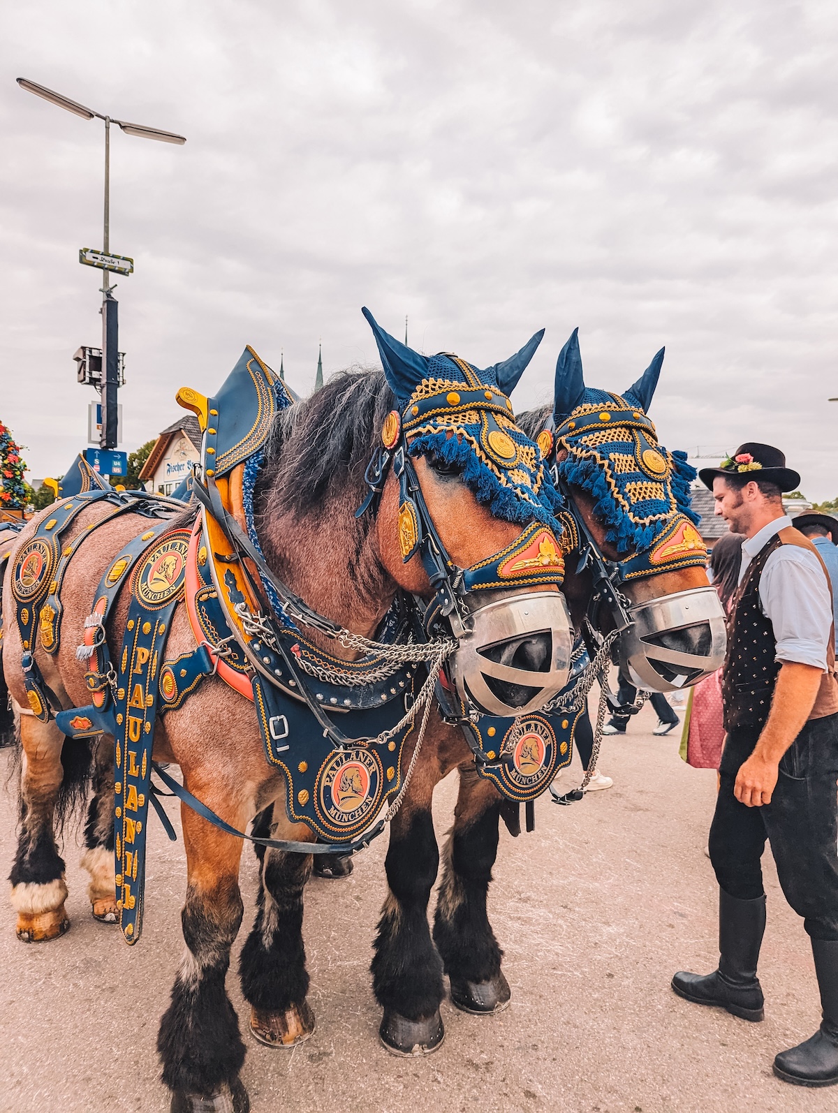 Hofbräuhaus horses at Oktoberfest