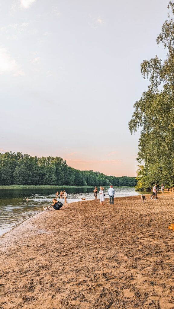 Dog beach at Grunewaldsee in Berlin