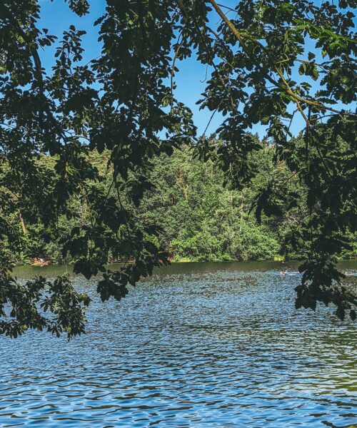 Krumme Lanke lake in Berlin