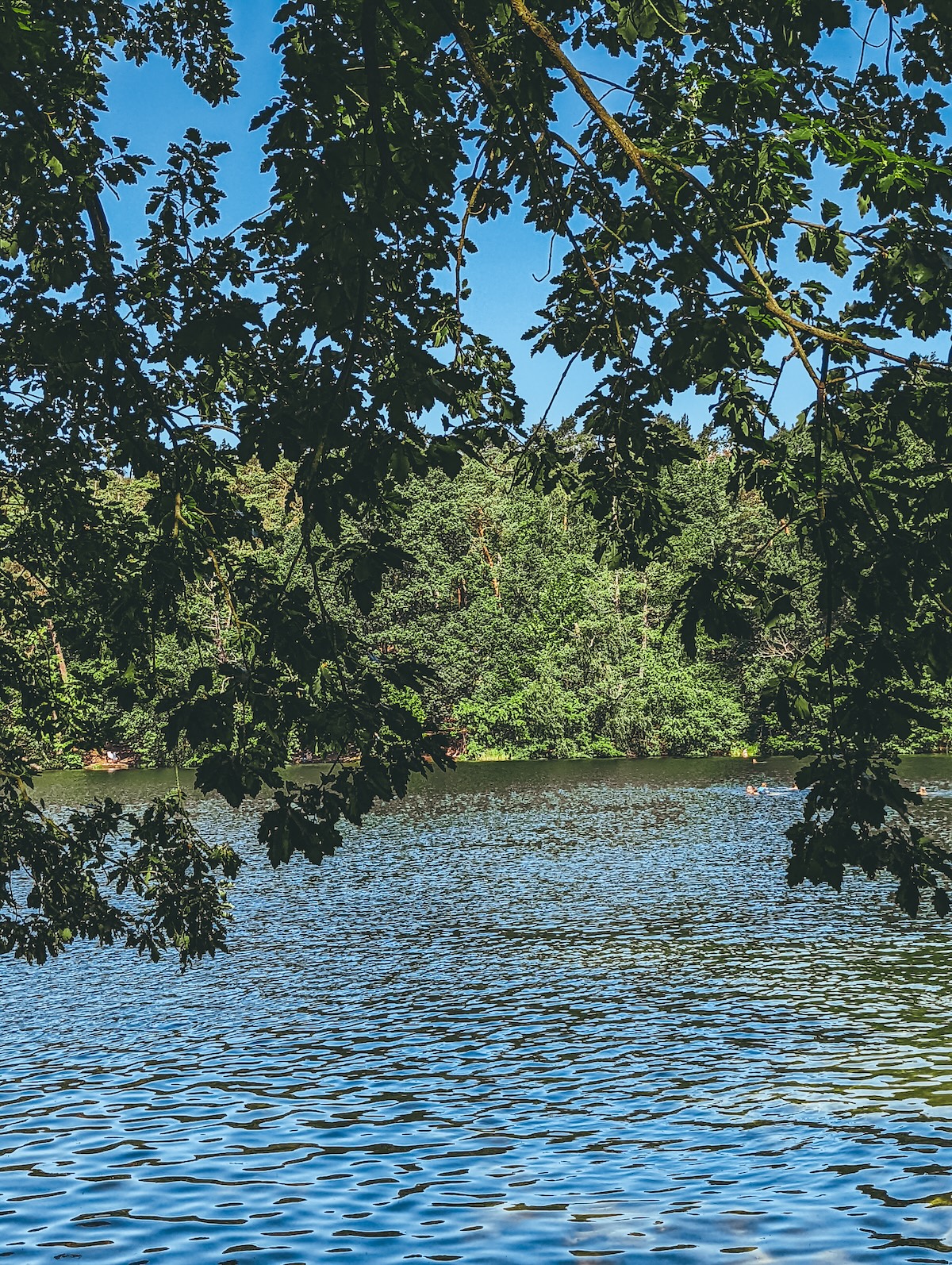 Krumme Lanke lake in Berlin