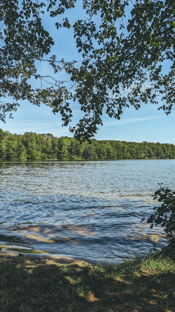 Clear water at Wannsee in Berlin