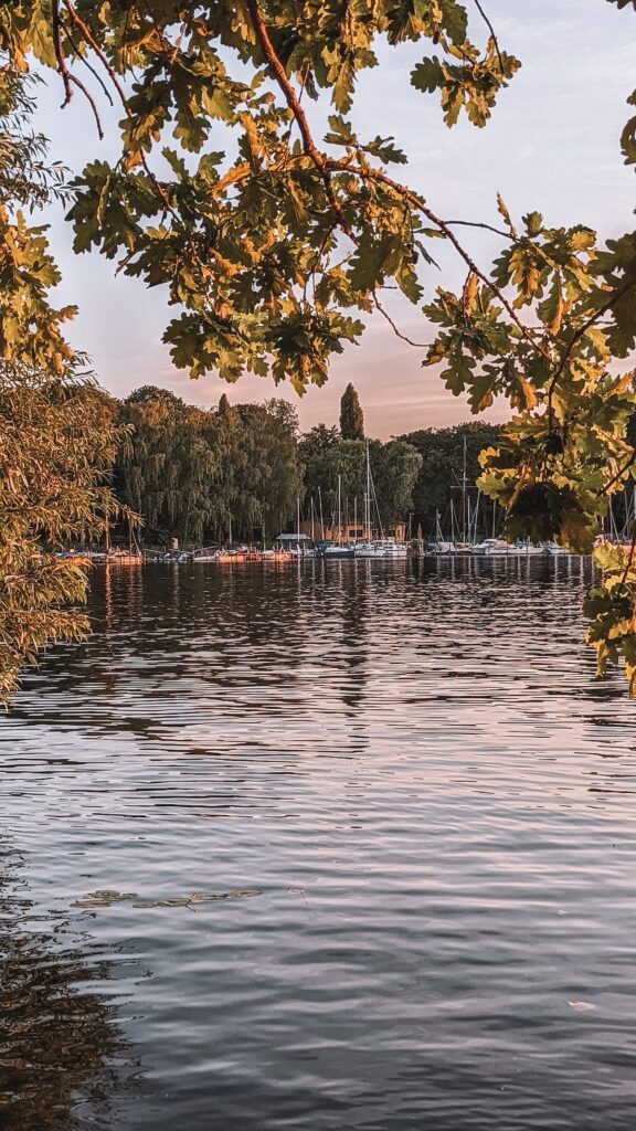 Sailboats moored at Tegeler See, at sunset