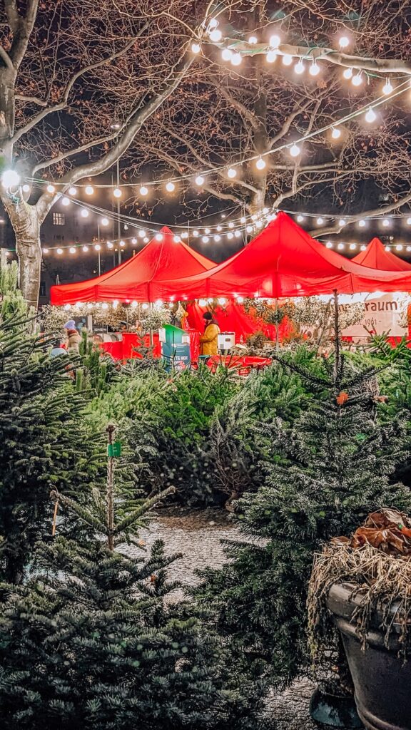 Fresh Christmas trees for sale in Berlin