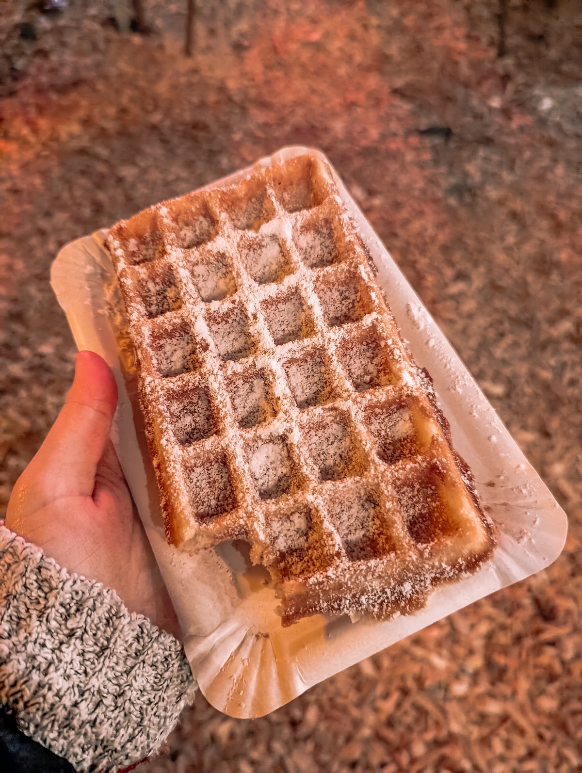 A waffle topped with powdered sugar