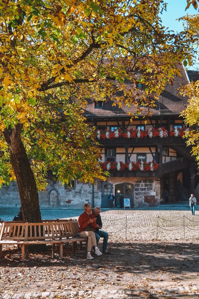 Tree inside Bamberg's Alter Hof
