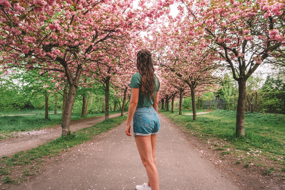 Woman looking behind her along a cherry blossom path