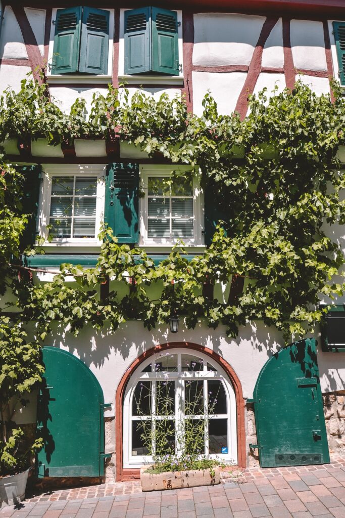 An ivy covered building in Heppenheim